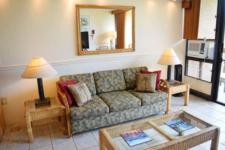 Living room with comfortable sofa