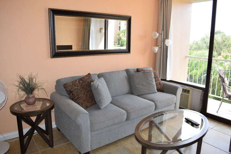 Beautiful living area with sofa sleeper