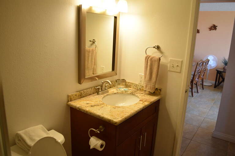 Guest bathroom