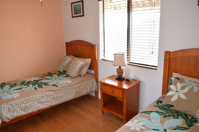Guest bedroom with twin beds