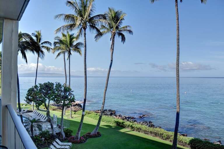 Enjoy the palm trees swaying in the wind and the Royal Mauian pool below Enjoy the palm trees swaying in the wind and the Royal Mauian pool below