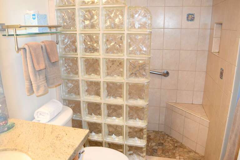 Guest bathroom tiled shower Guest bathroom tiled shower