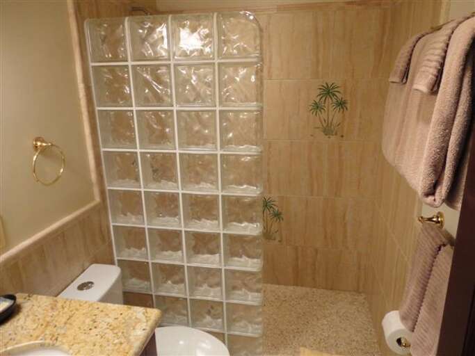 Guest bathroom shower