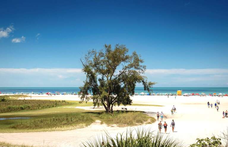 Siesta Key Beach, Siesta Key 1BR Siesta Key Beach, Siesta Key 1BR