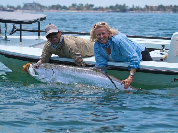 Tarpon fishing in the Bay nearby, Siesta Key 1BR Tarpon fishing in the Bay nearby, Siesta Key 1BR