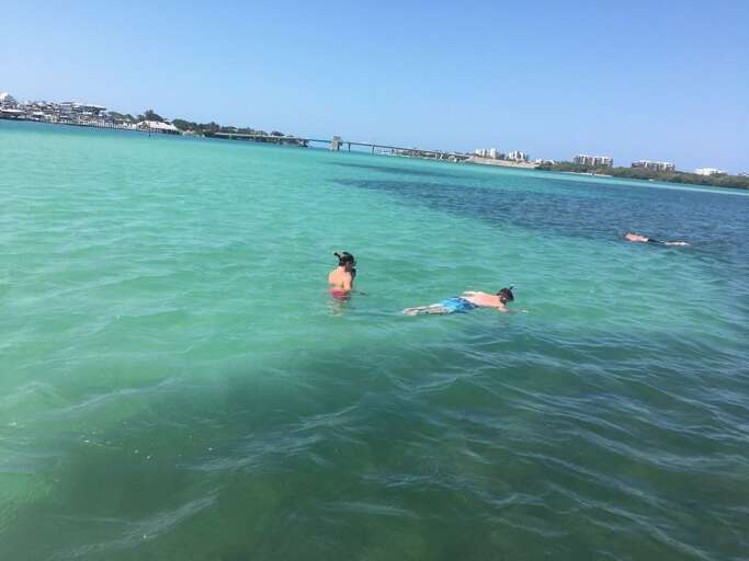 Siesta Key snorkeling