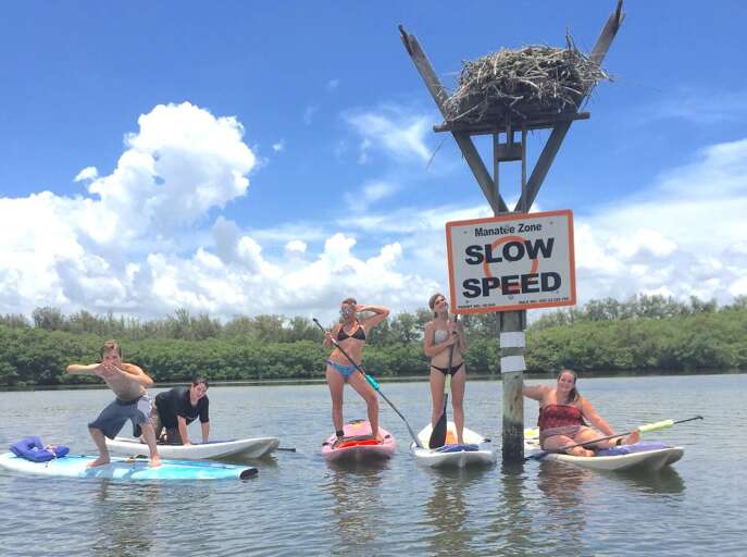Osprey nest and paddle boarders Osprey nest and paddle boarders