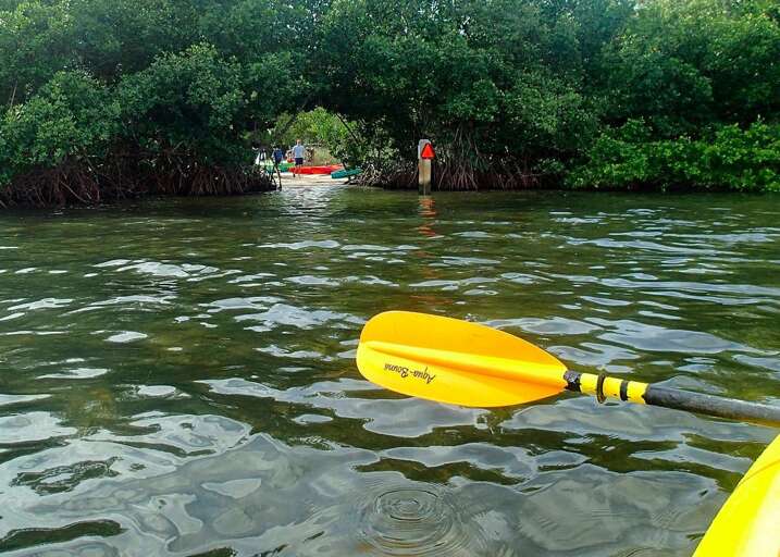 Nearby Lido Kayak tours, Siesta Key 4BR