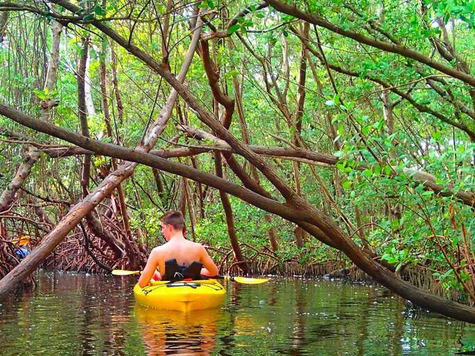 Nearby Lido kayak tours