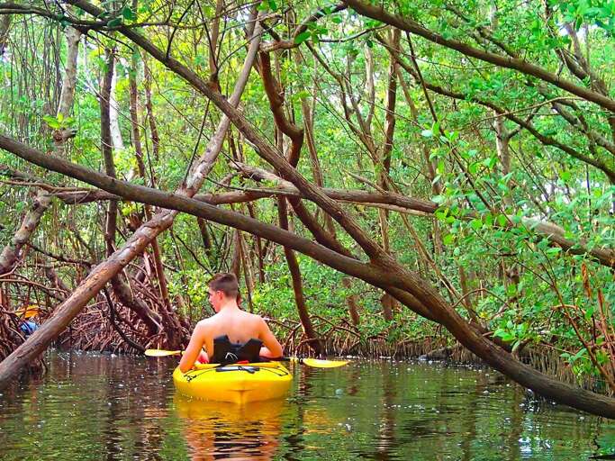 Nearby Lido Kayak tours | Siesta Key 1BR