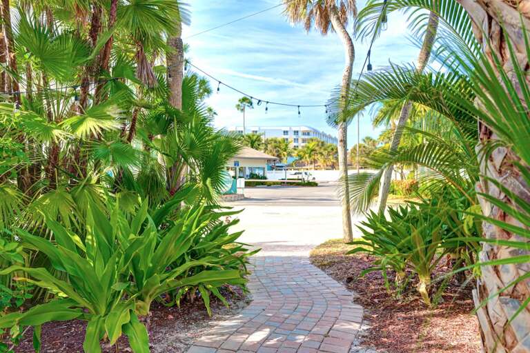 Eight steps from the yard to Siesta Key beach path | Siesta Key 1BR