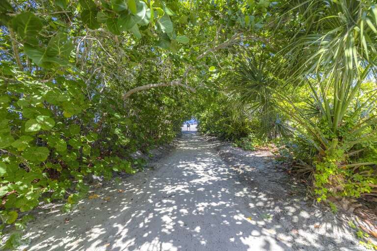 Tropical shaded path opening onto Siesta Key Beach.
