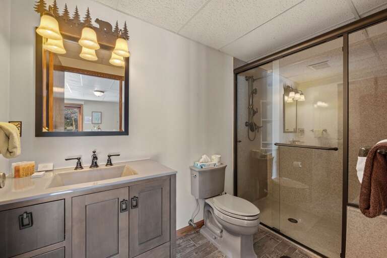 Lower Level Main Bathroom