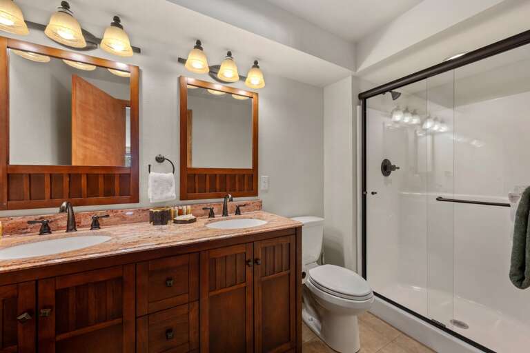 Lower Level Master Bathroom