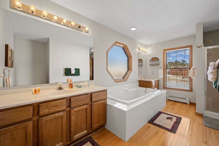 Main Level Master Bathroom with shower and tub