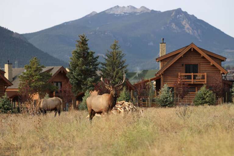 Find Rentals Find Rentals