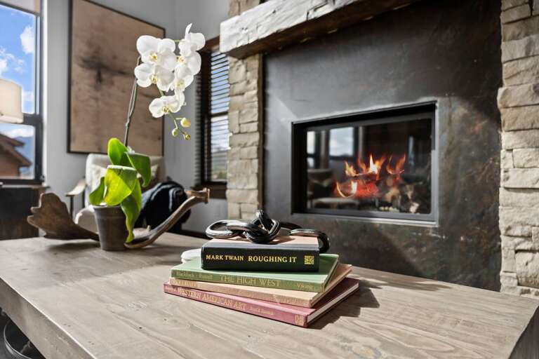 Living Room Fireplace