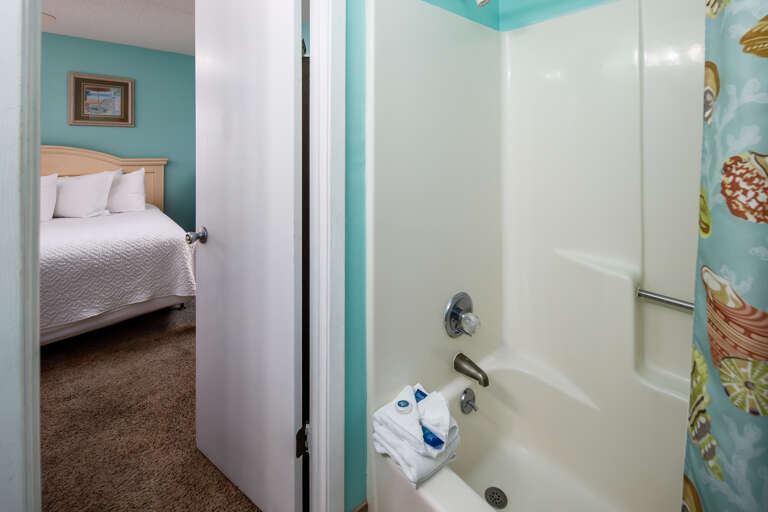 Master bathroom with shower/tub combo