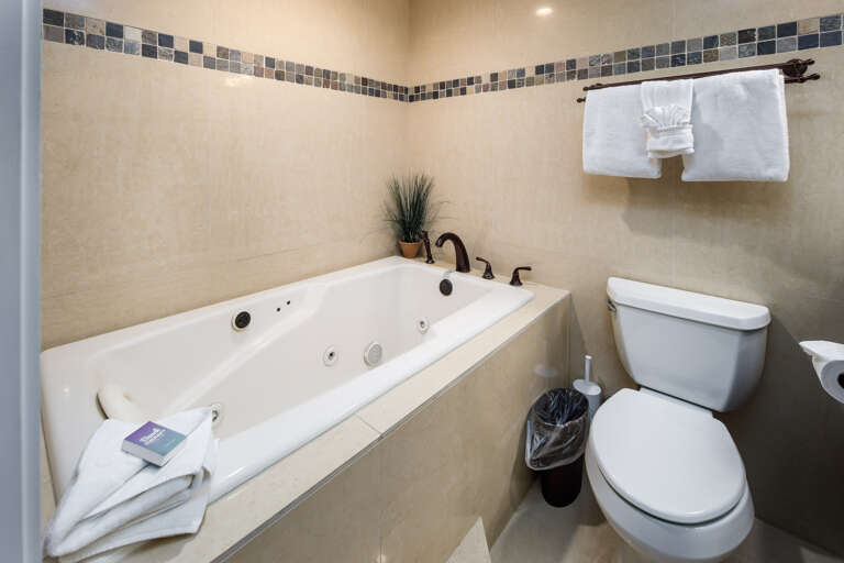 Master bathroom with sunken tub