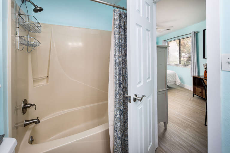 Master bathroom with tub/shower combo