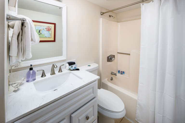 Full Guest Bath with Tub & Shower
