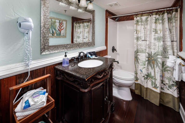 Full Guest Bathroom