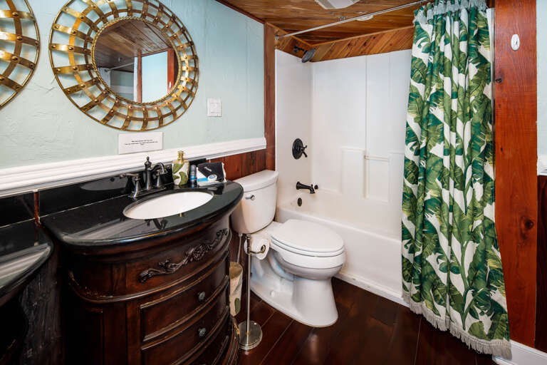 Master bathroom with shower/tub combo