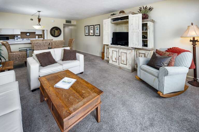 Flat Screen TV in Living Room