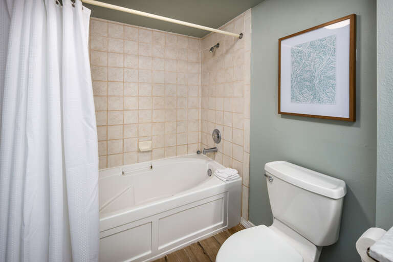 Master bathroom with shower/tub combo