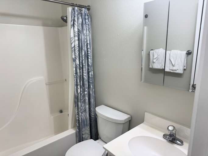 Full size hall bathroom with shower/tub combo