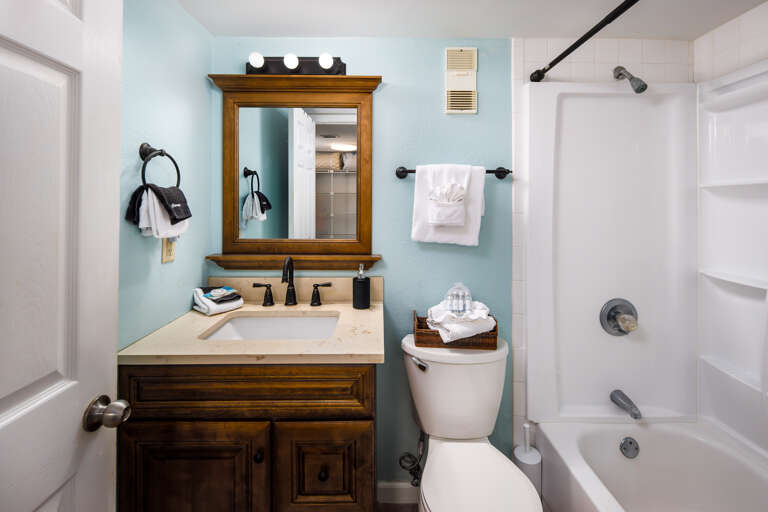 Master bathroom with shower/tub combo