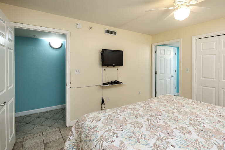 Master bedroom with TV