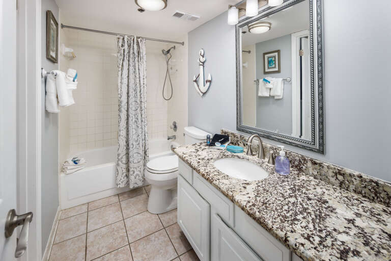 The guest bath room has a large counterspace and detachable showerhead