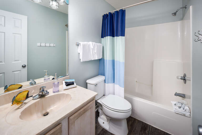 Master bathroom with shower/tub combo Master bathroom with shower/tub combo