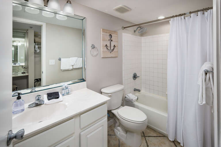 Master bathroom with shower/tub combo