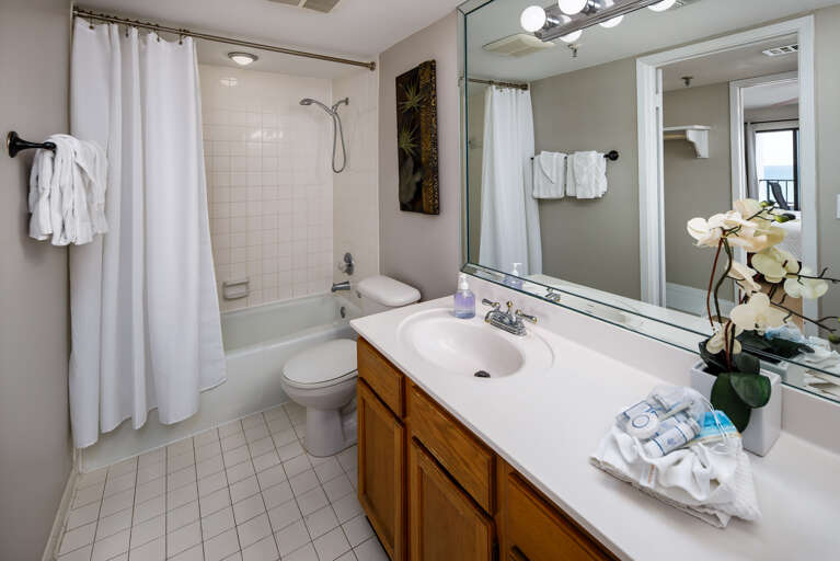 Master bathroom with shower/tub combo