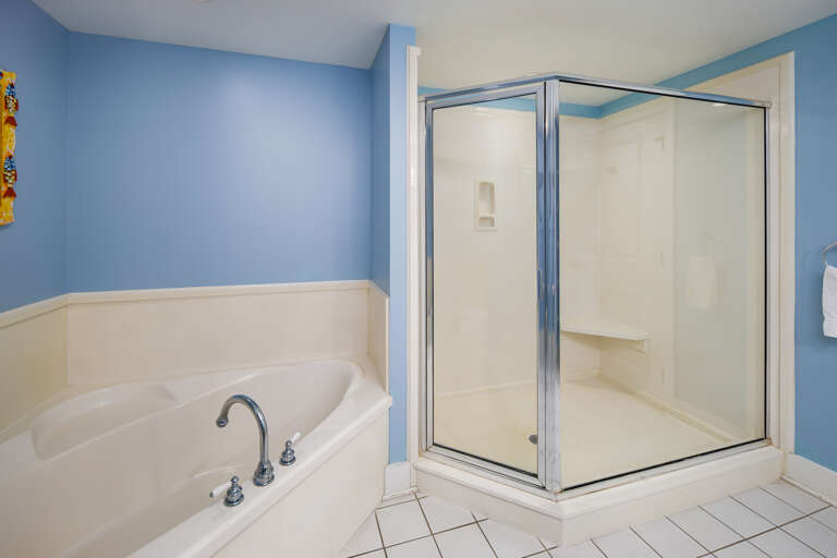 Master bathroom with walk-in shower and soaking tub Master bathroom with walk-in shower and soaking tub