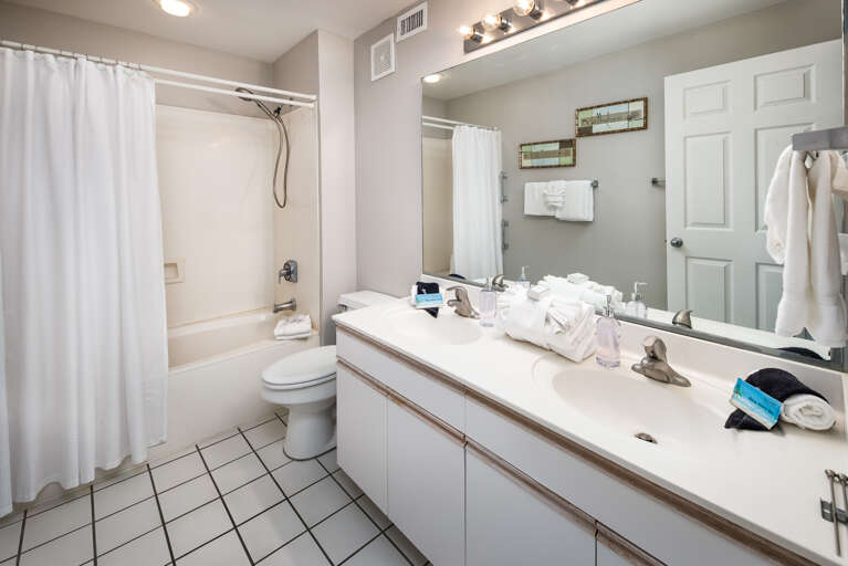 Master bathroom with tub/shower combo