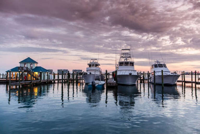 Charter boats galore