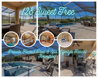 128 Sweet Tree