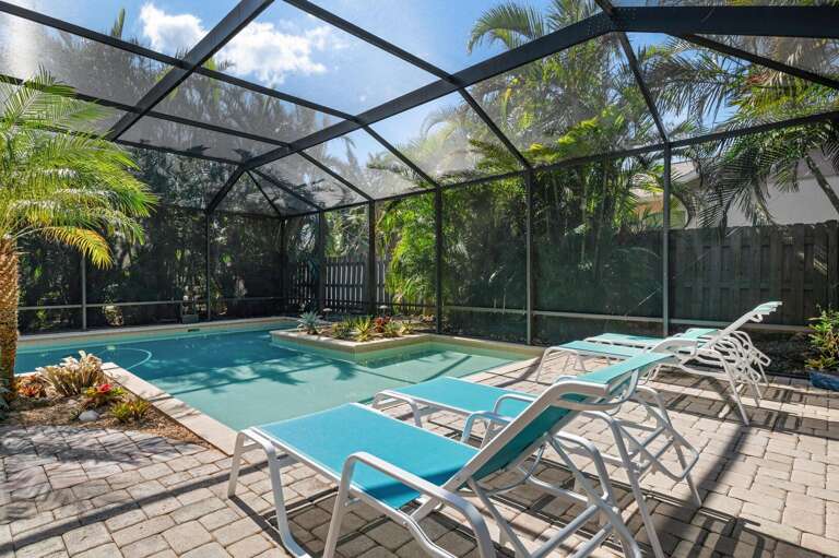 Claim a lounge chair under the palms and let your afternoon turn into a swim you didn't plan.