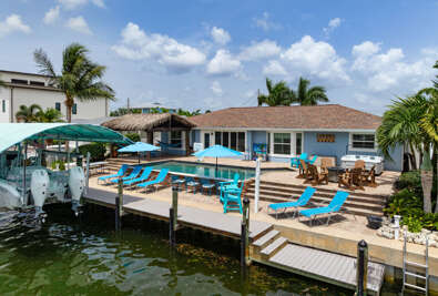 Royal Palm Paradise