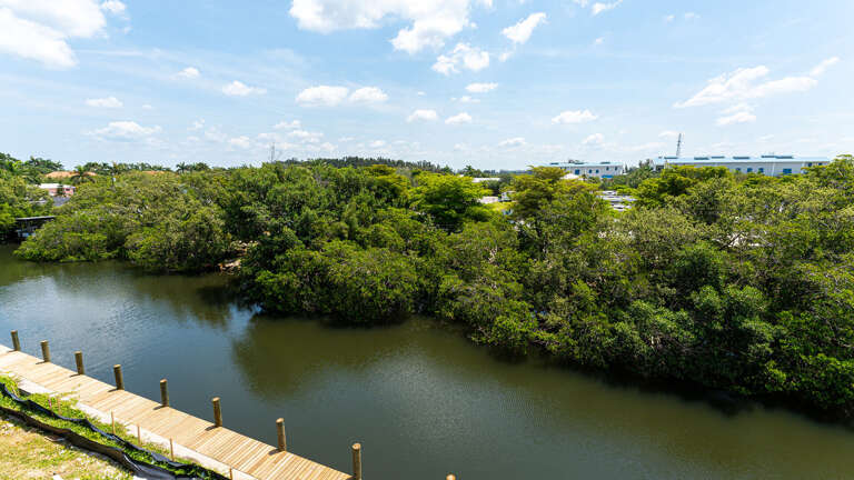Bring the boat and tie up at your own dock, mangroves on one side and the whole bay just past them.