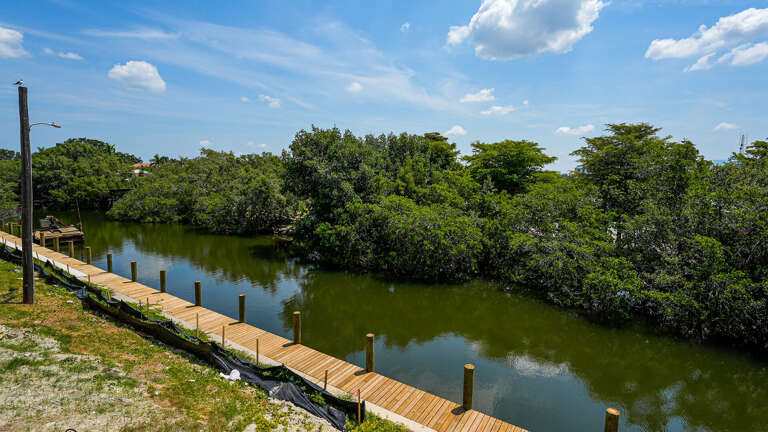Walk the boardwalk out over the mangroves and watch for the manatees you keep hearing about in every review.