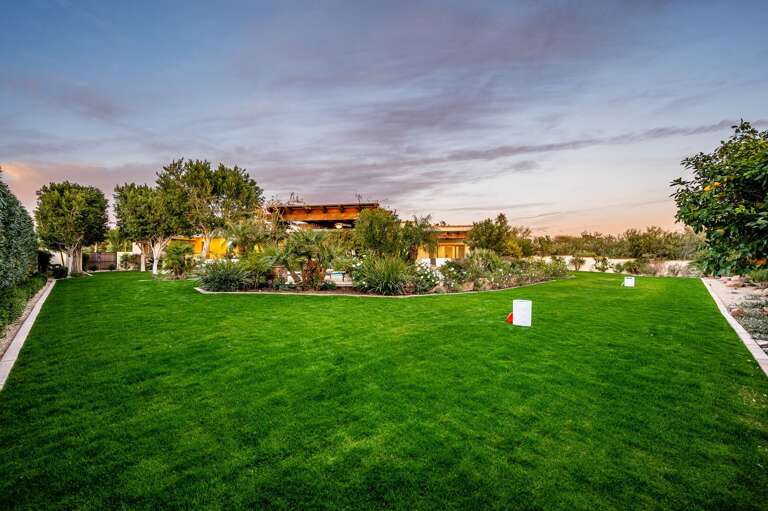 Expansive backyard!