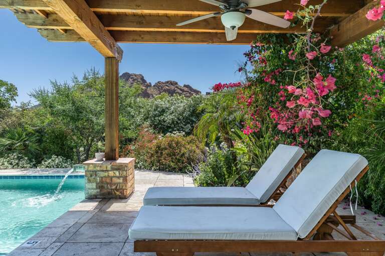 Lounging in the backyard while soaking up the sun.