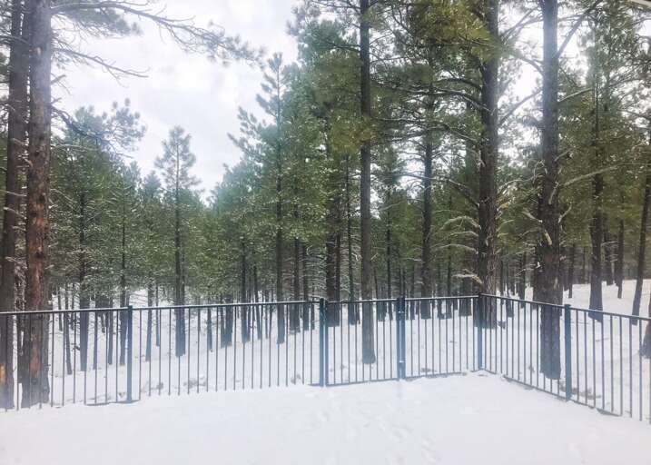 Spacious outdoor space, ideal for relaxation, entertainment, and enjoying the beauty of nature.