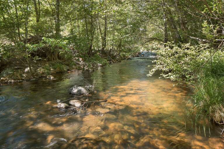 For adventurers, a private hiking trail begins right off the patio, leading to a serene creek. The For adventurers, a private hiking trail begins right off the patio, leading to a serene creek. The