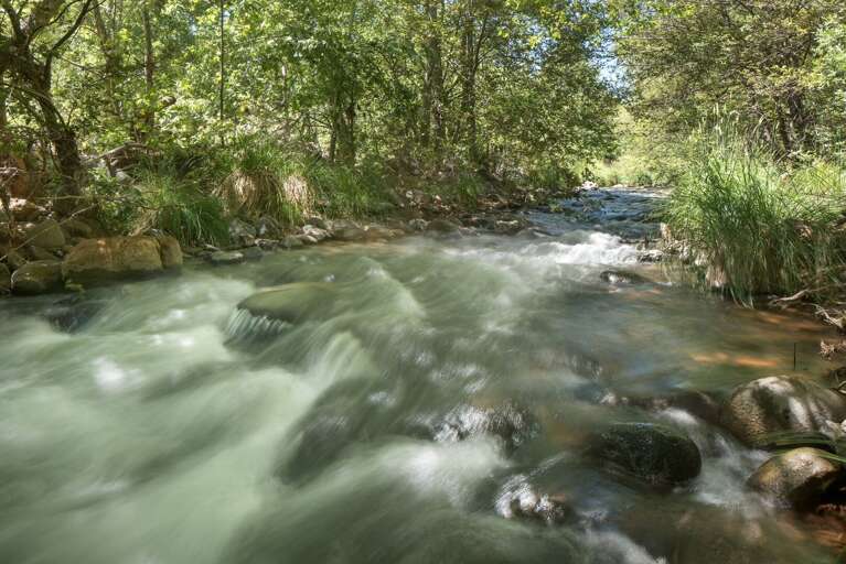 Private Trail to Creek: Wander down your very own hiking trail to a serene creek for a peaceful nature escape. Private Trail to Creek: Wander down your very own hiking trail to a serene creek for a peaceful nature escape.