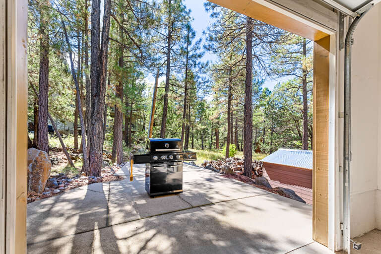 Propane grill and patio area for outdoor dining. Propane grill and patio area for outdoor dining.